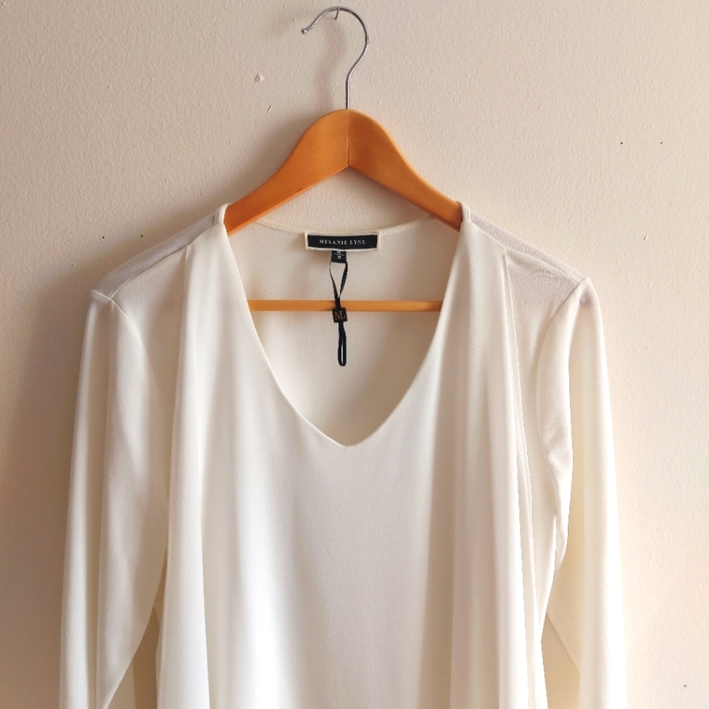 NWOT Blouse, chiffon-like, long sleeve